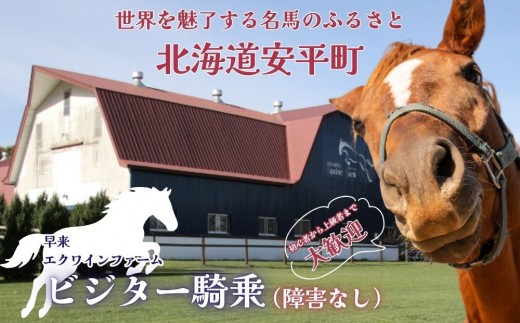 【ふるさと納税】ビジター騎乗 ＜障害なし＞  1回分 北海道安平町〈早来エクワインファーム〉馬 サラブレッド ポニー 競馬 馬術 体験