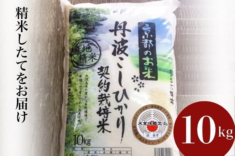 
                  【寄附額改定】京都丹波産 こしひかり 精米 10kg【みなと】 白米 米 お米 こめ コメ ライス ご飯 ごはん ふっくら つやつや おいしい 美味しい 贈り物 単一原料米 国産 コシヒカリ 仕送り お取り寄せ 令和7年産米 産地直送 契約栽培米 おすすめ 10キロ １０ｋｇ ※北海道・沖縄・離島への配送不可【～3月31日まで】
                
