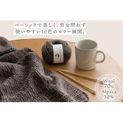 ふるさと納税 江南市 あみもねっと アルパカ天然色並太 7番色 10玉セット |  | 01