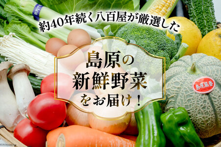 BF057 【3回定期便】旬の野菜・フルーツ (12～14品目)・卵 (6個) おまかせ セット【 野菜 果物 卵 やさい くだもの 果物 タマゴ たまご 詰め合わせ 江戸屋 長崎県 島原市 】 レビ