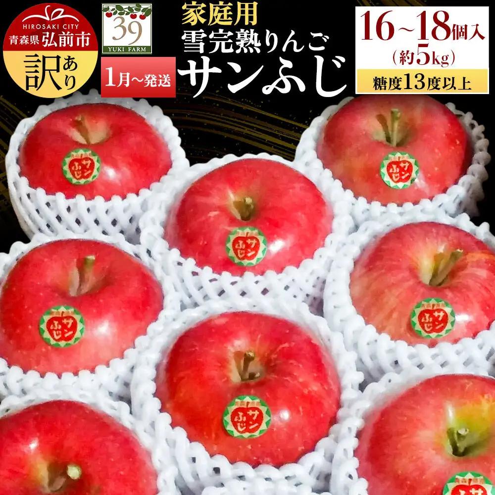りんご サンふじ【訳あり】約5kg（16～18個）家庭用 先行受付