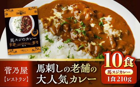 馬スジのカレー 10食 210g×10 計2.1kg カレー[AYAF027]