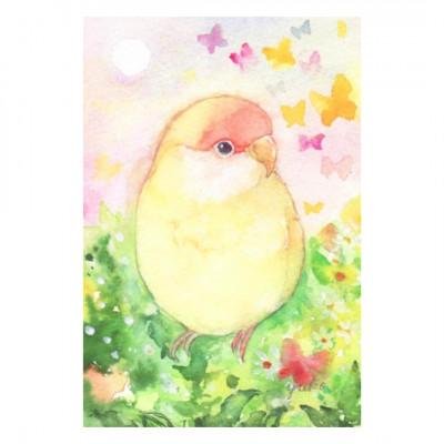 ふるさと納税 糸田町 うちの子オーダーメイド・鳥イラスト/セキセイインコ・オカメインコをはじめ全ての鳥さんをお描きします! |  | 02