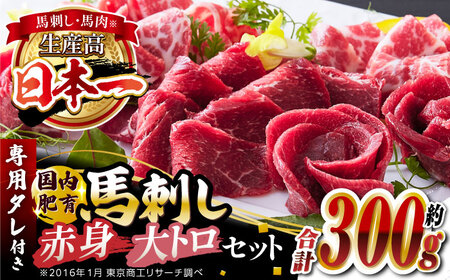 馬刺し 大トロ霜降り赤身セット 計約300g ( 大トロ霜降り 約100g 赤身 約200g ) 馬刺し食べ比べ 馬刺し詰め合わせ 馬刺しセット 馬刺し専用タレ付き 熊本馬刺し 山都町 熊本産馬刺し 新鮮馬刺し 馬刺し 馬肉 馬刺し 馬肉の刺身 刺身 お刺身 熊本馬肉 熊本県産馬肉 新鮮馬肉 生食用馬肉 冷凍 馬肉 馬刺し ヘルシー 小分け【有限会社 丸重ミート】[YAK004]