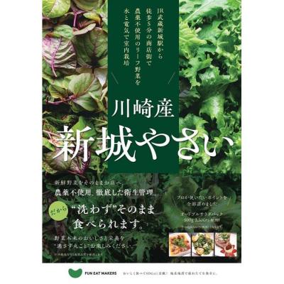 ふるさと納税 川崎市 ミシュランシェフ御用達 鮮度2週間 6種リーフ300g