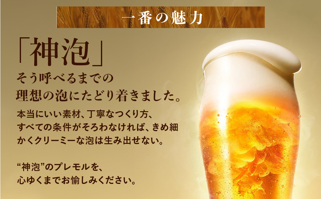 【5ヶ月定期便】サントリー ザ・プレミアム・モルツ 500ml×24本