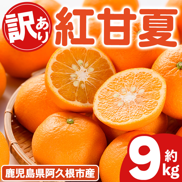 ＜先行予約受付中！2027年2月上旬以降順次発送予定＞ 訳あり！紅甘夏 (約9kg) 国産 紅甘夏 柑橘 果物 フルーツ デザート 果実 期間限定 数量限定 【古田果樹園】akn093-12