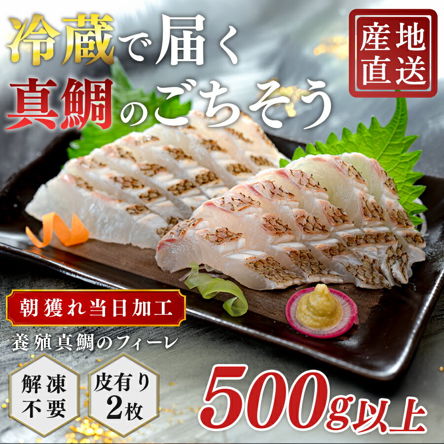 【ふるさと納税】【先行受付】 朝獲れ 真鯛 フィーレ 皮付き 500g以上 刺身 冷蔵 養殖 たい タイ マダイ セット 真空パック 産地直送 当日発送 鮮度抜群 鯛めし 鯛丼 カルパッチョ 塩焼き お取り寄せ ギフト 贈答 はやぶさ水産 高知県 大月町 柏島産