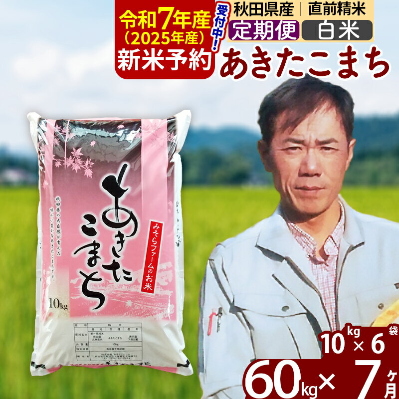 【ふるさと納税】※令和7年産 新米予約※《定期便7ヶ月》秋田県産 あきたこまち 60kg【白米】(10kg袋) 2025年産 お届け周期調整可能 隔月に調整OK お米 みそらファーム
