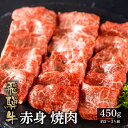 【ふるさと納税】飛騨牛もも焼肉用 450g A4 A5 等級 白川郷 てんから 焼肉 焼き肉 バーベキュー BBQ アウトドア キャンプ 家族 和牛 肉 牛肉 赤身 飛騨 国産 グルメ もも 簡易梱包 訳あり 訳アリ 20000円 2万円 [S176]