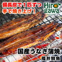 【ふるさと納税】 うなぎ 蒲焼き ( 国産 ) 紀州備長炭使用 約200g×2尾セット 24000円 / 鰻 土用の丑の日 土用丑 お中元 ギフト プレゼント グルメ //fish //best