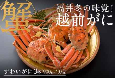 【産地直送】先行予約！　福井冬の味覚！越前がに（900～1kg）× 3杯　2024年11月15日以降発送