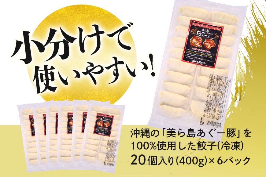 美ら島あぐー餃子 120個セット 20個入×6パック 絶品 こだわり 豚 肉 国産 ごはん おかず お弁当 冷凍 ぎょうざ ギョウザ 小分け BBQ ギョーザ 惣菜 晩酌 ギフト 手作り 生餃子 豚肉