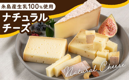 【全6回定期便】糸島産 生乳 100％ 使用 手作り 熟成 チーズ 5種 食べ比べ セット 糸島市 / 糸島ナチュラルチーズ製造所TAK-タック- [AYC012]