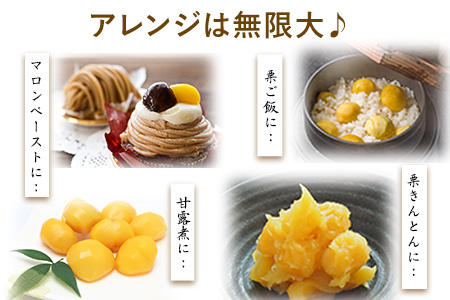 生栗 先行予約  約2kg(2L-Lサイズ) ｜栗くり栗栗くり栗栗くり栗