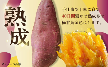 【全12回定期便】ごと焼きごと芋 (安納芋) 300g×6袋 サツマイモ おやつ 小分け さつまいも 芋 五島市/ごと[PBY036]