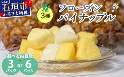 
            先行予約＜2026年6月より順次発送＞ 贅沢3種フローズンパイナップル【 沖縄県 石垣市 果物 パイナップル 冷凍 パイン フローズン 送料無料 】EF-5 EF-6
          