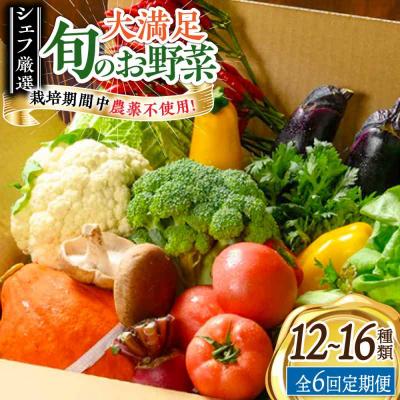 ふるさと納税 大洲市 【全6回定期便】栽培期間中農薬不使用!大満足 旬のお野菜セット [AGBX004]