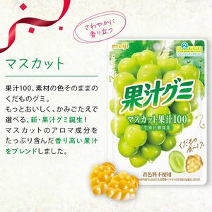 明治 果汁グミ マスカット 20個 グミ