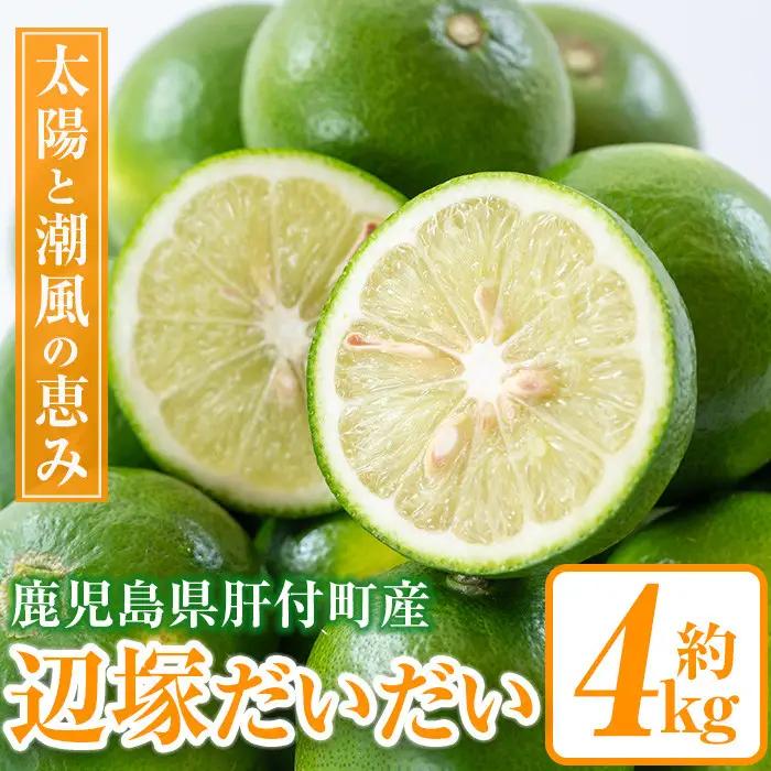 辺塚だいだい 青果 4kg 鹿児島 国産 橙 柑橘 果物 フルーツ【NPO法人 陸の宝島・岸良】P20002