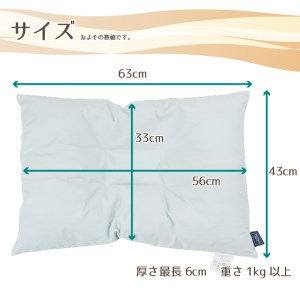15-27　アース製薬と共同開発！防ダニ枕【Dani Not】そば殻　43×63㎝