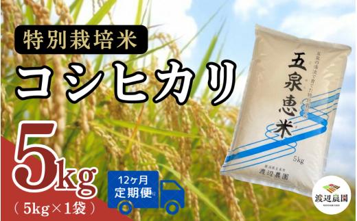 【令和7年産新米】〈12回定期便〉 渡辺農園の特別栽培米コシヒカリ 精米 5kg(5kg×1袋) 新潟県 五泉市 渡辺農園 [10月中旬以降順次発送] 先行予約