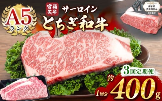 【栃木県共通返礼品】【定期便3回】宮福笑牛(とちぎ和牛) A5 サーロインステーキ　約200gx2枚  | 黒毛 和牛 牛肉 焼肉 とろける 霜降り 赤身 切り落とし ふるさと 納税 イチオシ おすすめ 栃木県 下野市 しもつけ市