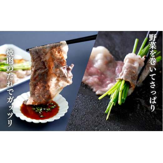 佐賀牛 バラ焼きしゃぶ用 400g 肉 佐賀牛 牛肉 おすすめ ギフト 贈答 黒毛和牛 ランキング 1万円 10000円 N10-65_イメージ5