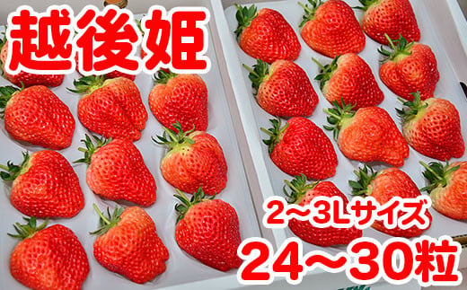 
            聖籠産いちご（越後姫）2～3Lサイズ　2パック【2025年2月上旬～順次発送予定】
          