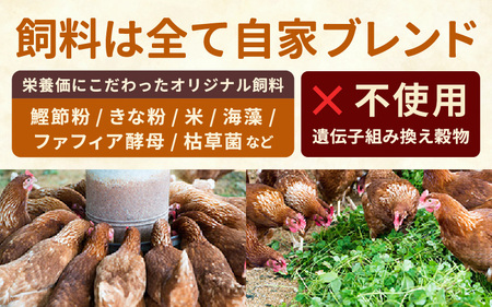 卵 平飼いたまご 新鮮卵 24個 月2回定期便 3ヵ月