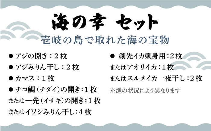 壱岐美食の海の幸セット 《壱岐市》【壱岐美食企画】[JBU004] イカ 干物 みりん干し 開き 刺身 いか 鯛 タイ アジ アジの開き おつまみ 朝食 13000 13000円