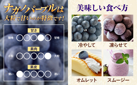 ぶどう ナガノパープル 1房 450g 株式会社ヤマナカ茨城県 結城市 アッシーリス 種なしぶどう たねなし 皮ごと食べられるフルーツ 旬 果物 冷蔵便  《8月中旬-9月下旬頃出荷》