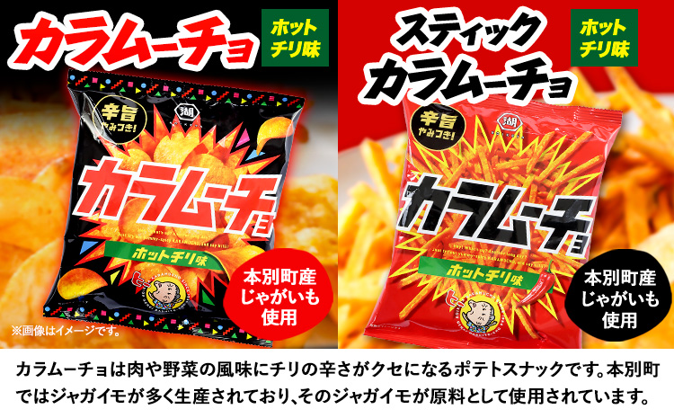 『湖池屋 ポテトチップス＆ 柳月 三方六小割』セット 本別町観光協会 《30日以内に出荷予定(土日祝除く)》 ポテト ポテトチップス---hsh_cchk_30d_26_13500_4i---