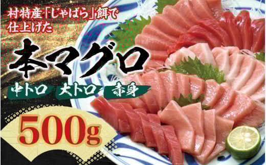 【串本町×北山村】本マグロ（養殖）トロ＆赤身セット500ｇ【8月発送分】 【nks110D-8】