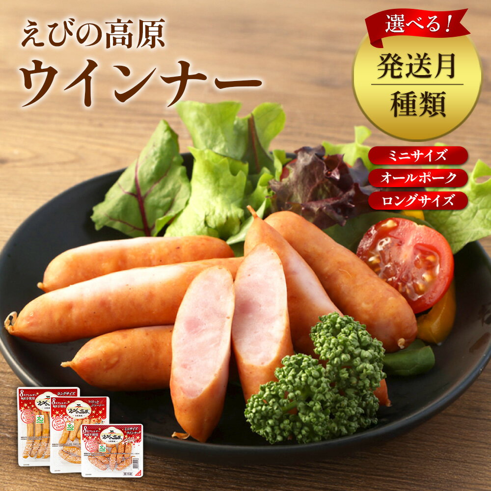 【ふるさと納税】選べる！ウインナー ソーセージ ミニサイズ(6 or 10 袋 各 80g)オールポーク(6 or 10袋 各 155g)ロングサイズ(6 or 10袋 各 176g)豚肉 牛肉 人気 おかず お弁当 おつまみ 総菜 冷蔵 加工品 焼肉 ギフト 九州 宮崎県 えびの市 送料