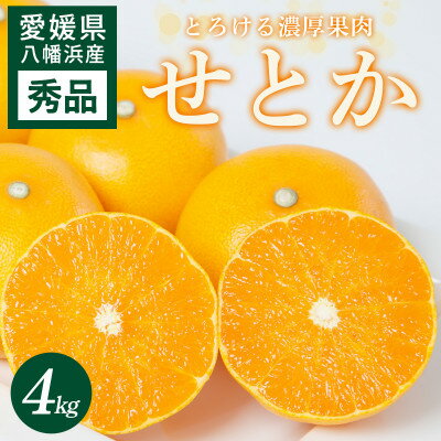 【ふるさと納税】せとか 4kg 愛媛県 八幡浜市 西宇和地区 とろける濃厚果肉 柑橘の女王【E25-326】【1714494】