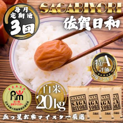 ふるさと納税 多久市 【毎月定期便】さがびより白米20kg(5kg×4袋)(多久市)全3回