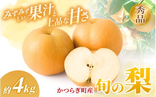◆先行予約◆和歌山県産 旬の梨 約4kg【2025年8月中旬～9月中旬頃出荷】