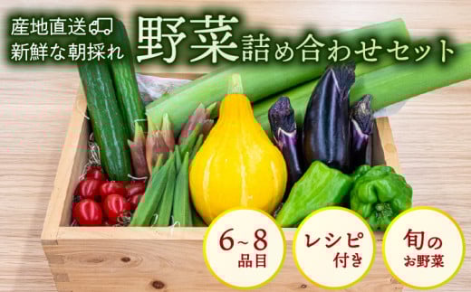 野菜 セット 6 ～ 8品目 詰め合わせ レシピ 付き 産地直送 高知県 須崎市 新鮮野菜  新玉ねぎ そら豆 スナップえんどう 春キャベツ フルーツトマト みょうが ズッキーニ オクラ かぼちゃ すじなし豆 トマト 空心菜 さつま芋 栗 秋豆 ぶしゅかん しょうが 金時しょうが チャーテ キク芋 赤大根 かぶ カリフラワー 芽キャベツ 旬 人気 ふるさと納税野菜 野菜セット