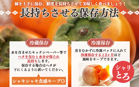  濃厚な甘み！ 富有柿 約 4kg （MまたはLサイズ） |  富有柿 柿 かき フルーツ 果物 くだもの カキ  農家直送 家庭用 贈答 秋の味覚 旬 M L 奈良県 五條市 まろやか 食べやすい 