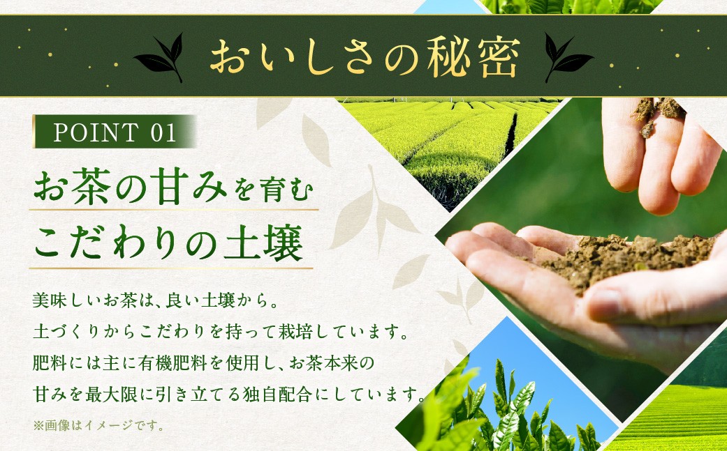 【3ヶ月定期便】 こだわり製法で作った高級菊川茶 計200g 100g×2本 セット 【深蒸し 煎茶】