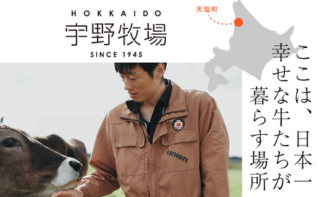 UNO The Butter (有塩) 1個