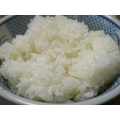 ふるさと納税 大田原市 【令和7年産】大田原産コシヒカリ 精米 5kg |  | 03