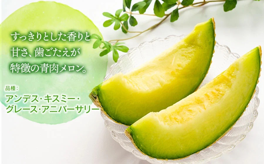 令和7年産先行予約　山形県鶴岡市産　庄内砂丘メロン　青赤セット L～4L 約2.5kg