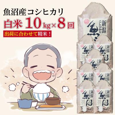 ふるさと納税 十日町市 【毎月定期便】魚沼産コシヒカリ【精米】10kg全8回