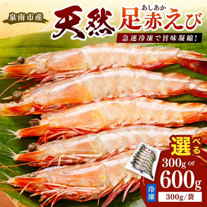 【ふるさと納税】選べる 内容量！大阪府泉南市産 天然足赤エビ 300g 600g ふるさと納税 えび 魚介類 海老 赤海老 赤えび 足赤えび