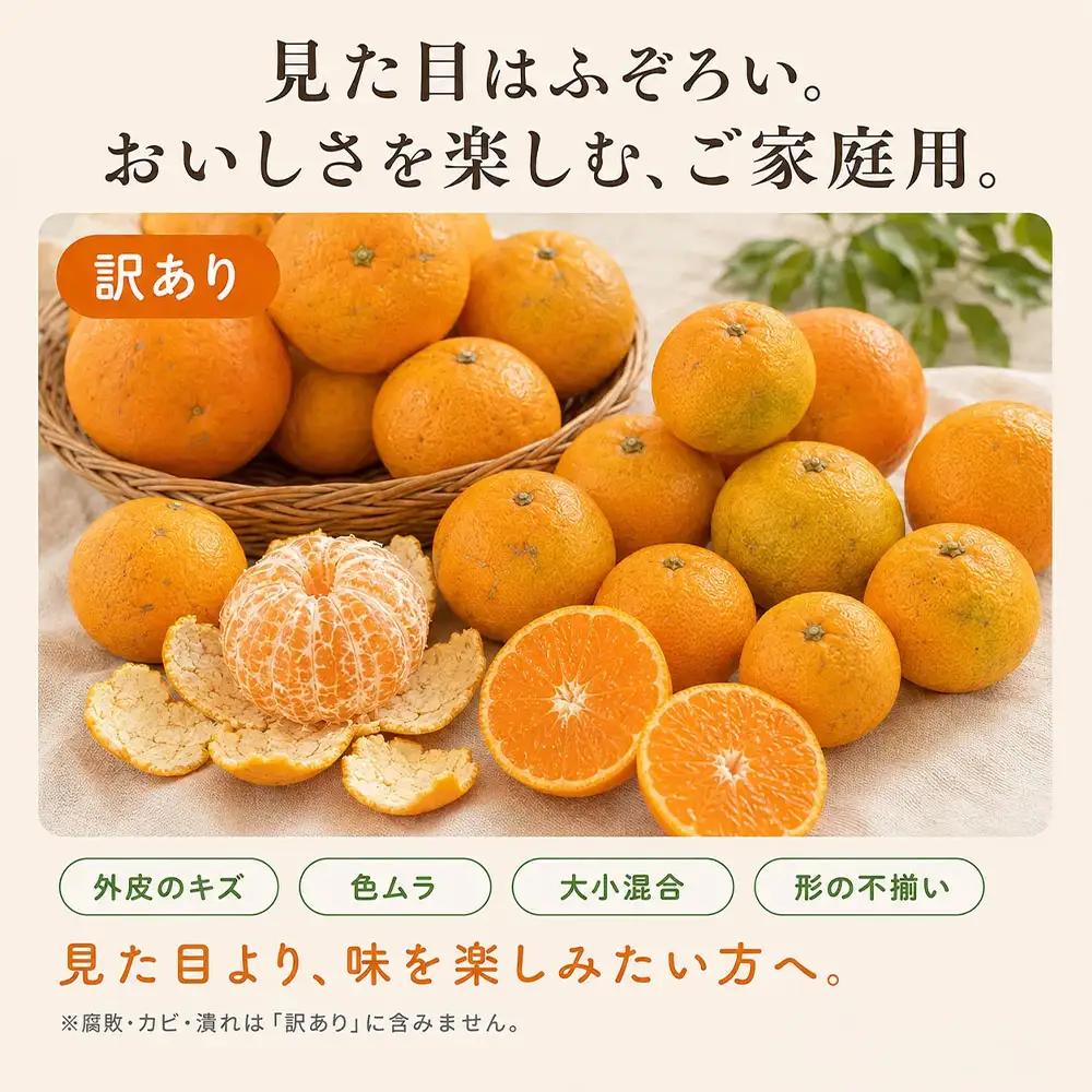 温州みかん 訳あり 3kg 傷み保証 300g 柑橘【R01787】
