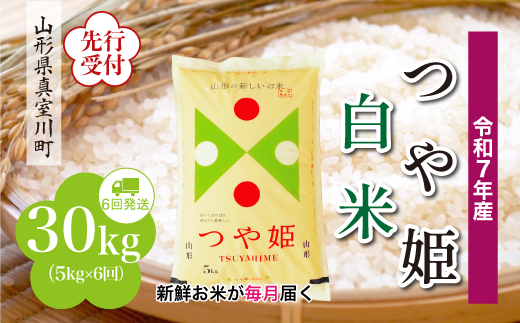 ＜令和7年産米先行受付＞ 真室川町産 特別栽培米 つや姫 【白米】 定期便 30kg （5kg×1ヶ月間隔で6回お届け）＜配送時期指定可＞