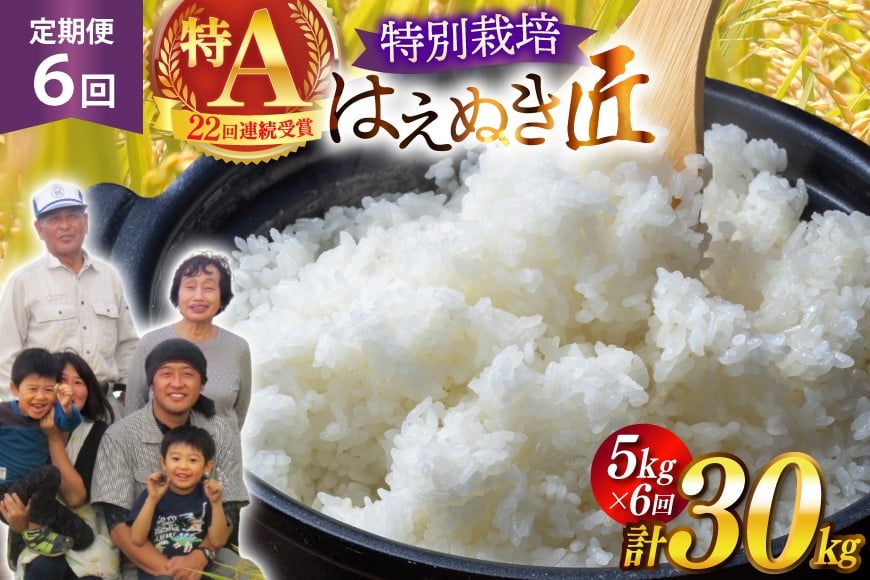 
                  米 定期便 6回 令和8年産 金子農園 厳選米 匠 特別栽培米 はえぬき 5kg 計30kg [金子農園 山形県 高畠町 tk06ays950056] 精米 白米 米 お米 ブランド米 ごはん ご飯
                