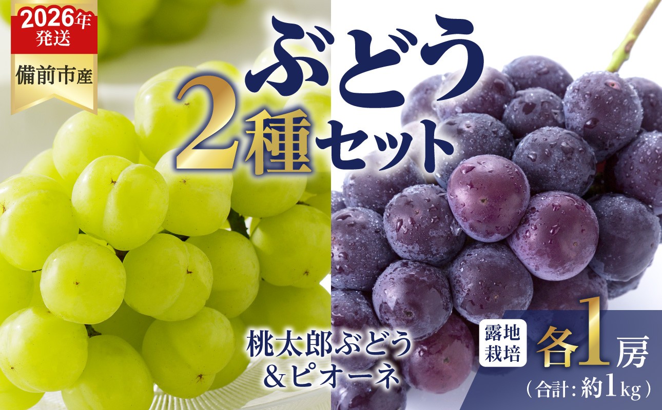 
                  【2026年発送分　先行予約開始！】びぜん葡萄「桃太郎ぶどう」「ピオーネ」（露地栽培）各1房入（令和8年8月中旬～9月中旬頃発送）【先行受付 先行予約 岡山県備前市産 桃太郎ぶどう ピオーネ 露地栽培 各1房 セット 樹上完熟】
                